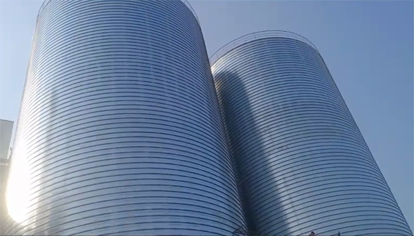 耿马2座混凝土高架卷板仓